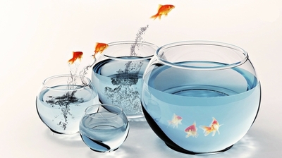 Aquariums
