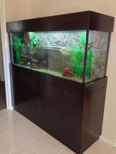 Aquariums