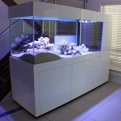 Aquariums