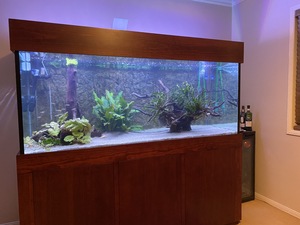 Aquariums