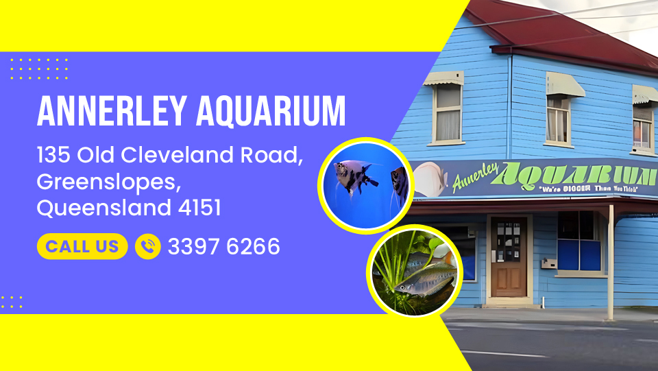 Annerley Aquariums