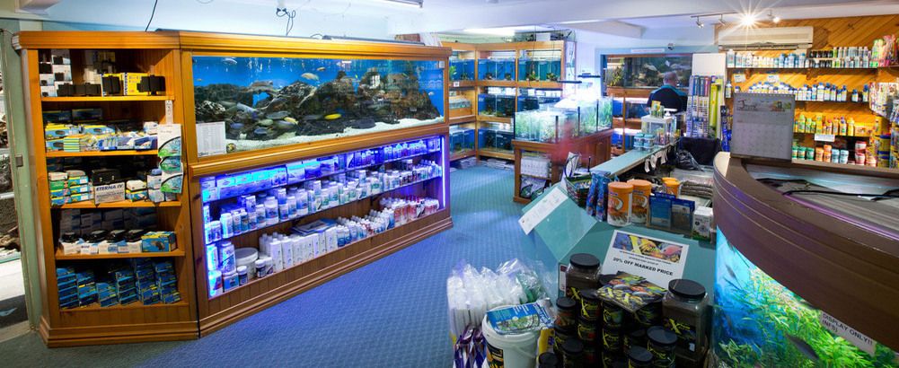 Aquarium Heaters