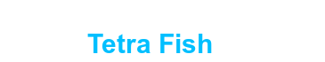 Tetra Fish